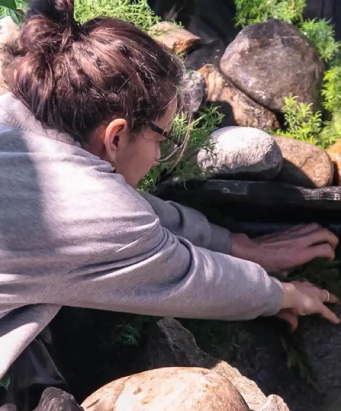 Deine Spielwiese Bild 4