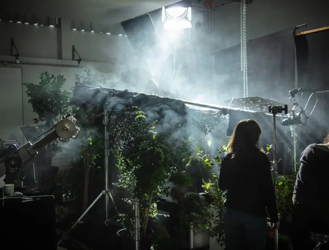 Set builds & references image 6